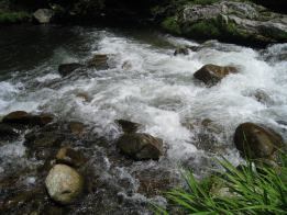 IMG_1619.jpg