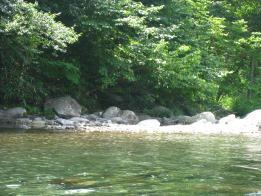 IMG_1715.jpg